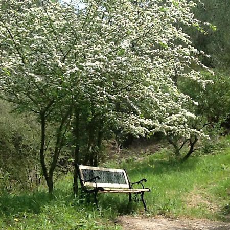 Casa Rural De Benitandus Alcudia de Veo Eksteriør bilde